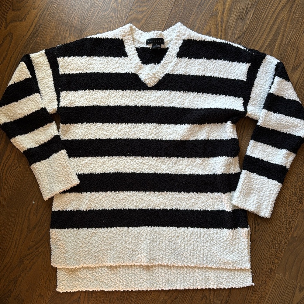Sanctuary super soft vneck sweater